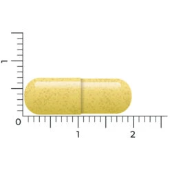Vitakruid Quercetine 250 -Gezondheidsproducten Winkel 1021059 4