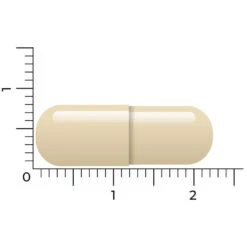 Vitakruid Geheugenformule -Gezondheidsproducten Winkel 1023998 4