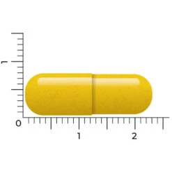 Vitakruid Berberine 500 Rebersa 8 Vitakruid Berberine 500 Rebersa -Gezondheidsproducten Winkel 1029807 4