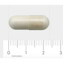 AOV 804 Boswellia-extract -Gezondheidsproducten Winkel 1031087 4