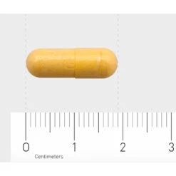 Orthica B2-50 7 Orthica B2-50 -Gezondheidsproducten Winkel 1033738 4