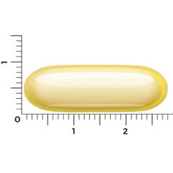 Vitakruid Borage Olie -Gezondheidsproducten Winkel 1035330 4