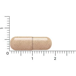 Vitakruid Lactoferrine 150 Mg 7 Vitakruid Lactoferrine 150 Mg -Gezondheidsproducten Winkel 1054157 4