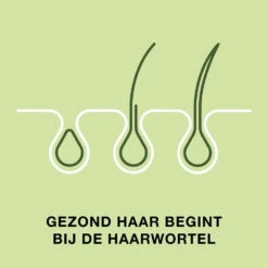 Priorin Haar 7 Priorin Haar -Gezondheidsproducten Winkel 711892 4