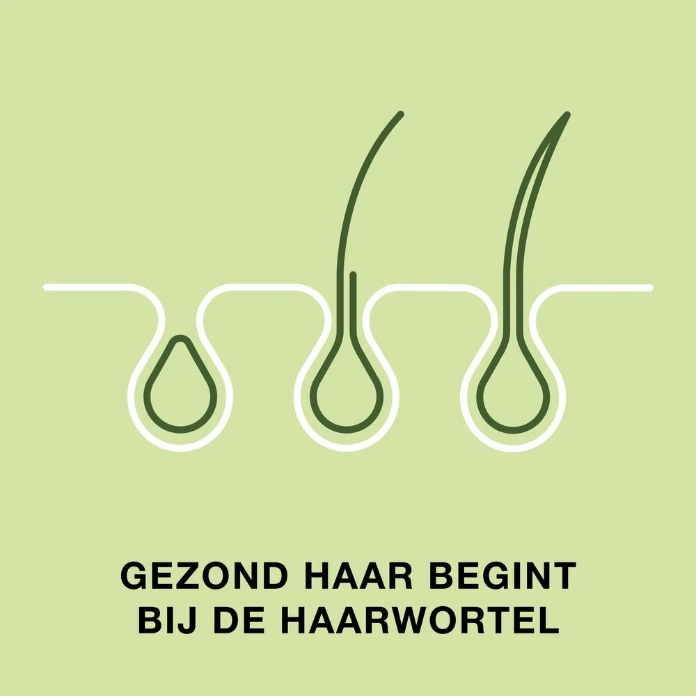 Priorin Haar 4 Priorin Haar - Afbeelding 4