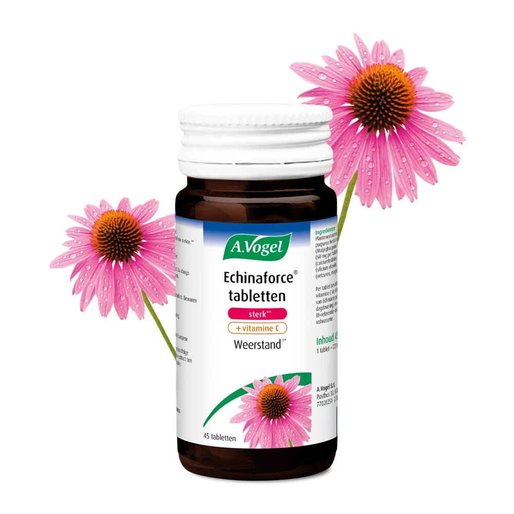A.Vogel Echinaforce Sterk + Vitamine C 2 A.Vogel Echinaforce Sterk + Vitamine C - Afbeelding 2