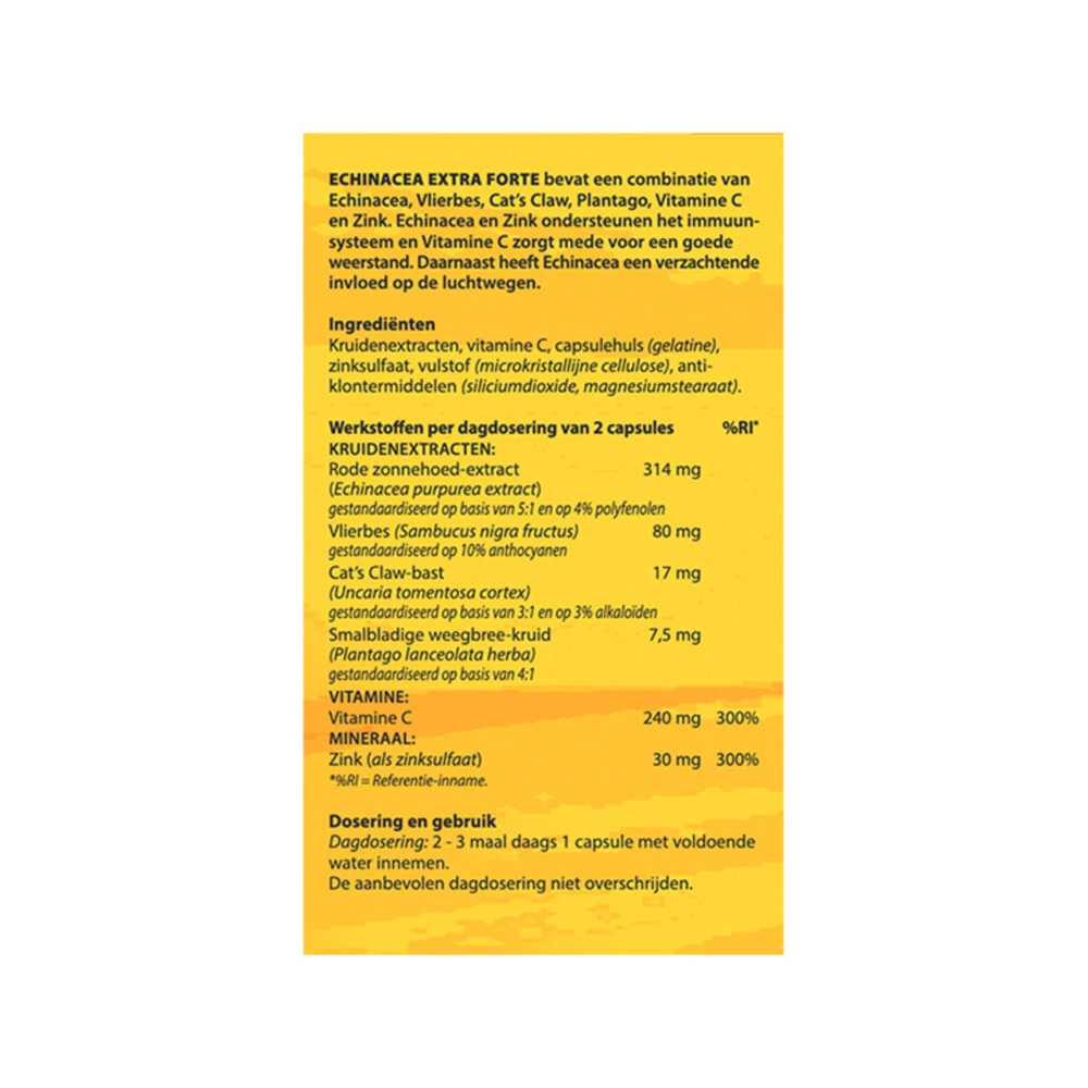 2x Bloem Echinacea 2 2x Bloem Echinacea - Afbeelding 2