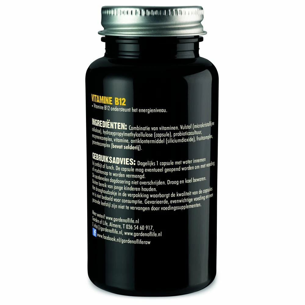 Garden Of Life Raw Vitamine B12 3 Garden Of Life Raw Vitamine B12 - Afbeelding 3