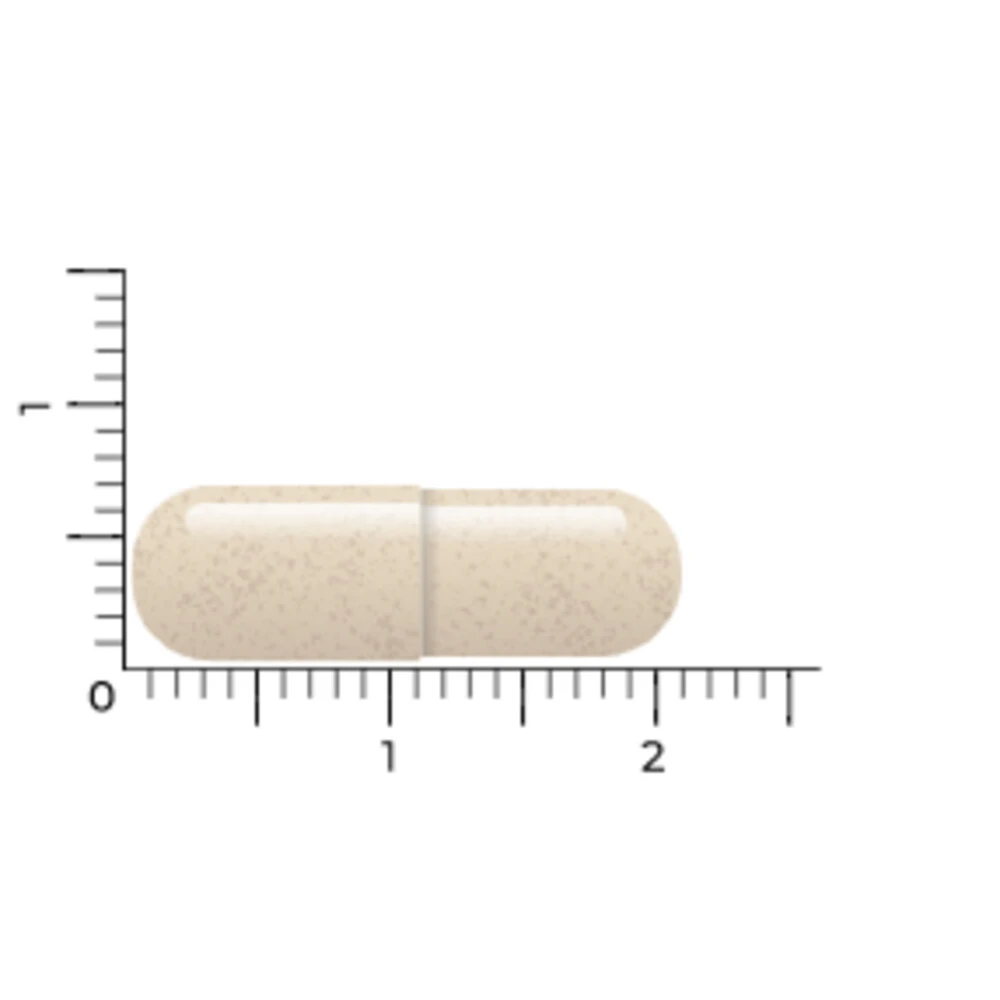 Vitakruid DPP-IV Ultimate 2 Vitakruid DPP-IV Ultimate - Afbeelding 2