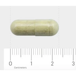 Orthica Orthisept Plus 7 Orthica Orthisept Plus -Gezondheidsproducten Winkel 975287 4