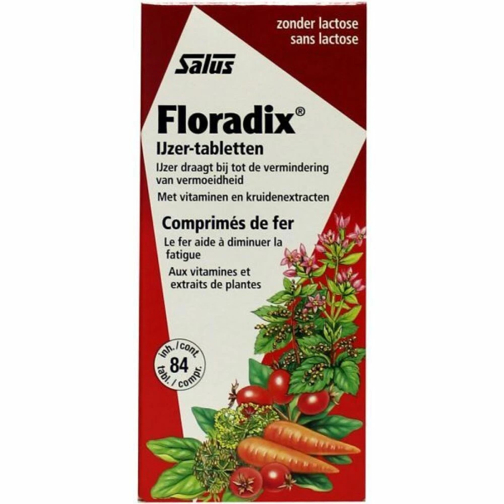 Floradix IJzer 1 Floradix IJzer